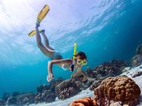 Randonnée subaquatique (snorkeling)
